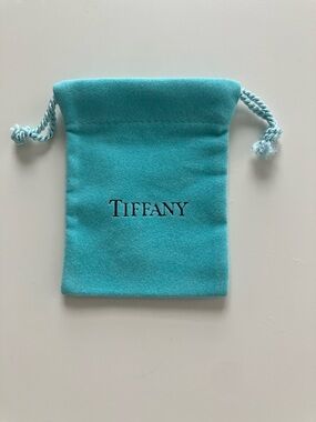 Tiffany velvet gift bag